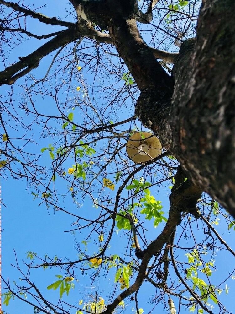 Фото Khanh's Home