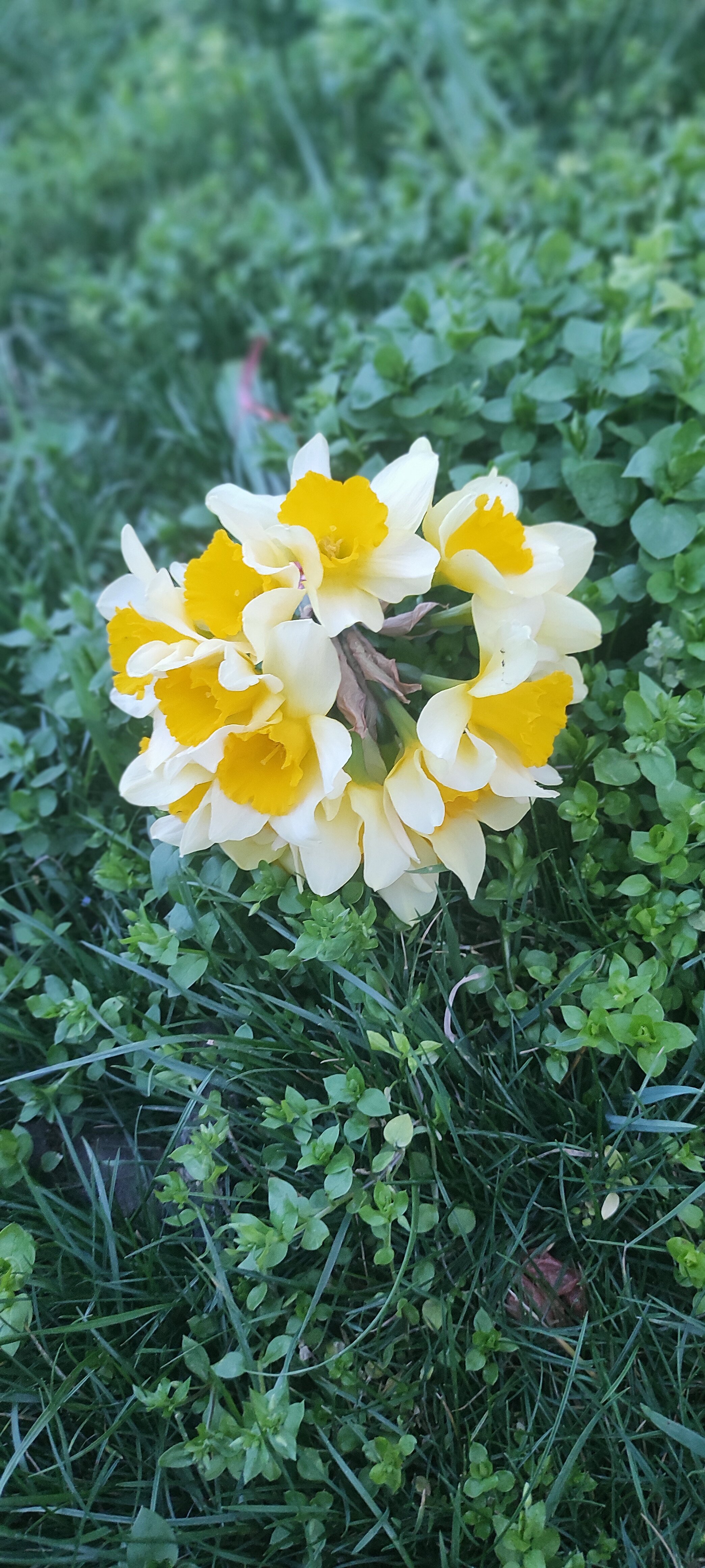 Фото Комнаты Коллективная 16а