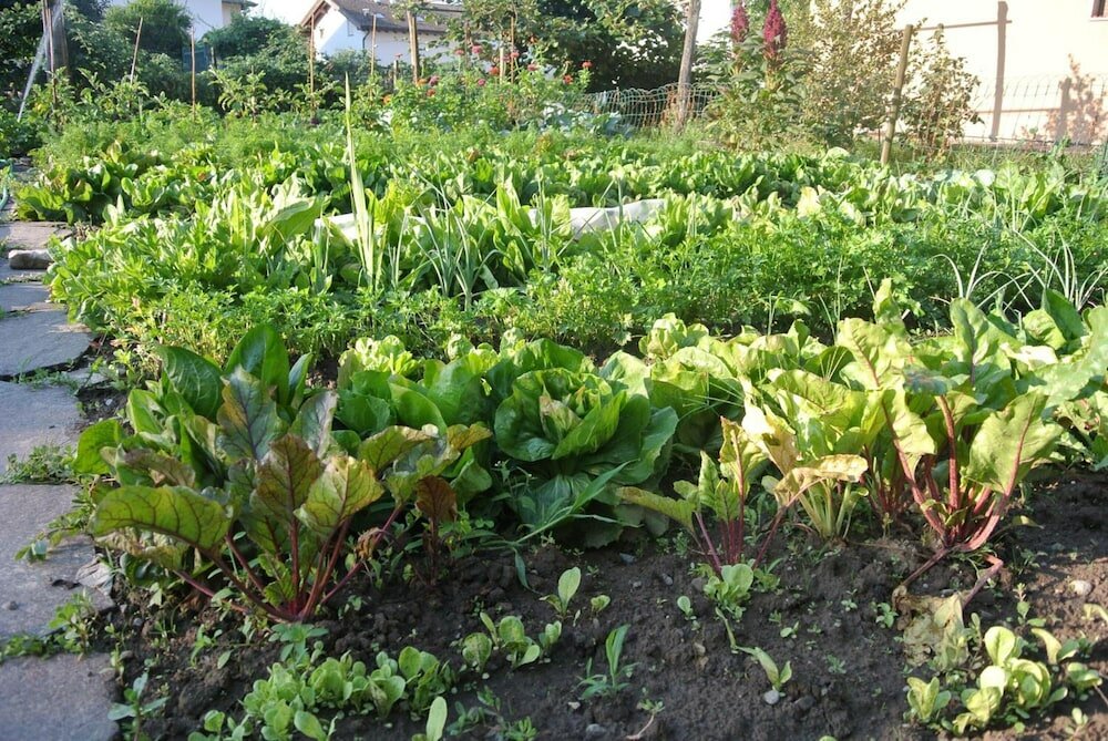 Фото Agriturismo Bortolotti