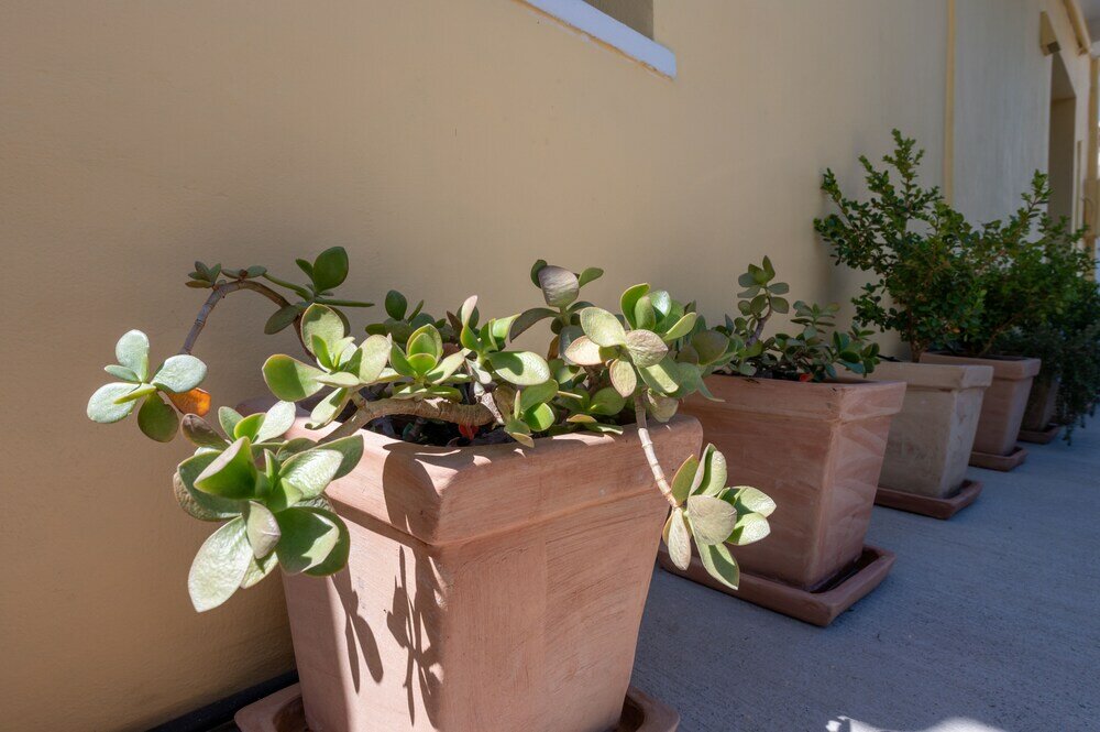 Фото City Cottage