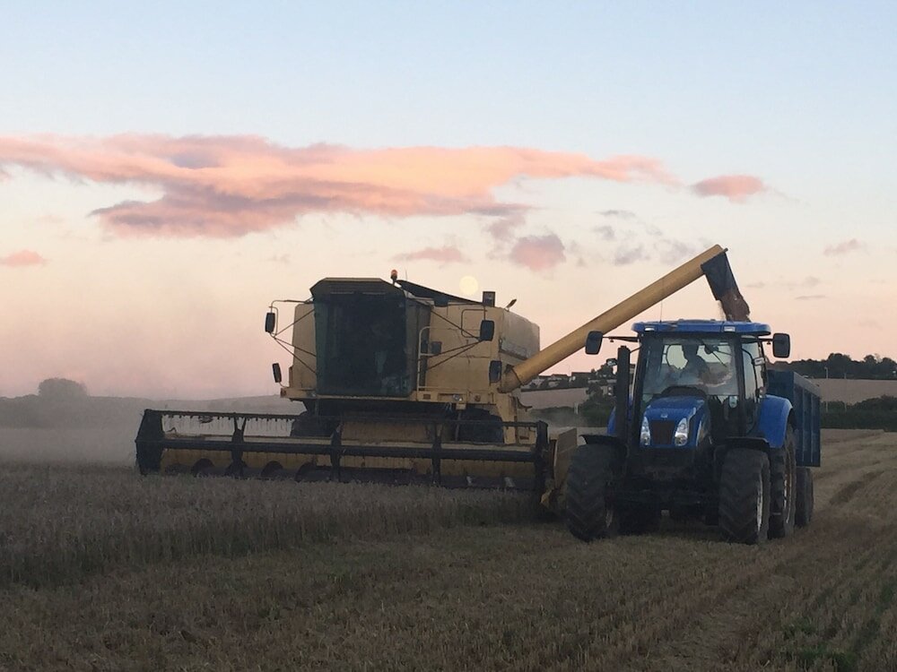 Фото Riding Farm Cottages