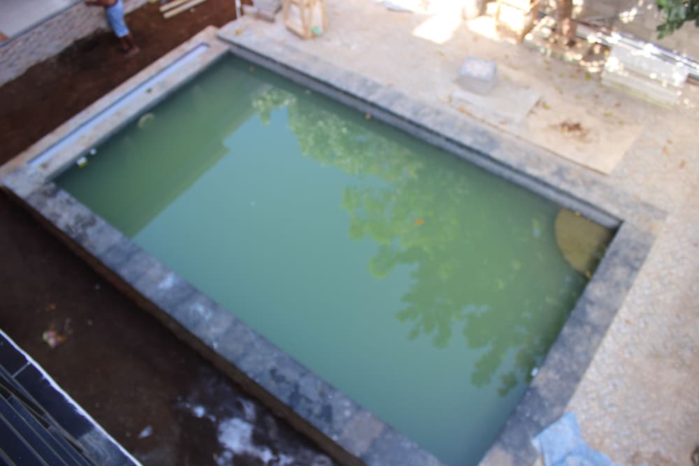 Фото Kailash Garden Homestay