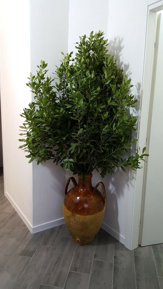 Фото Dafne Marsala Centro