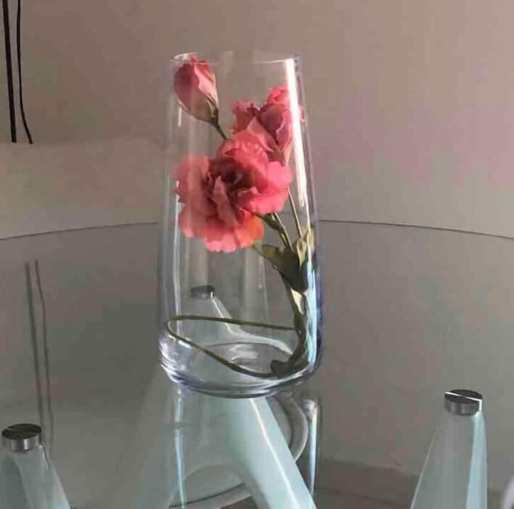 Фото Oasi Del Plebiscito