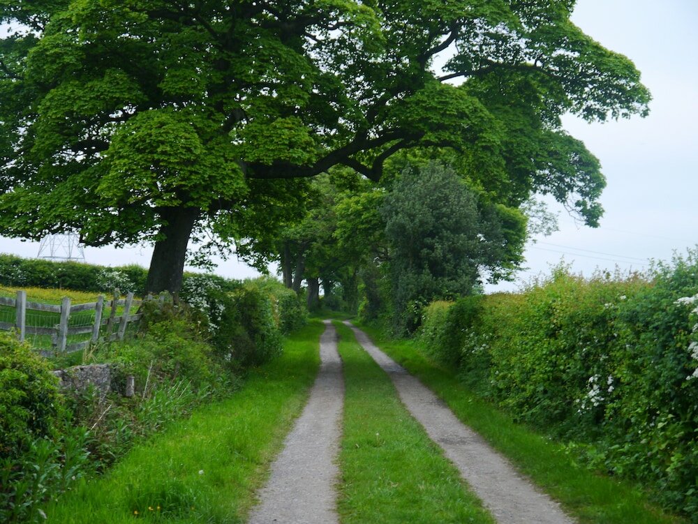 Фото Riding Farm Cottages