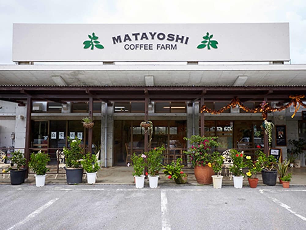 Hotel Matayoshi Coffee Farm, Okinawa Prefecture, photo