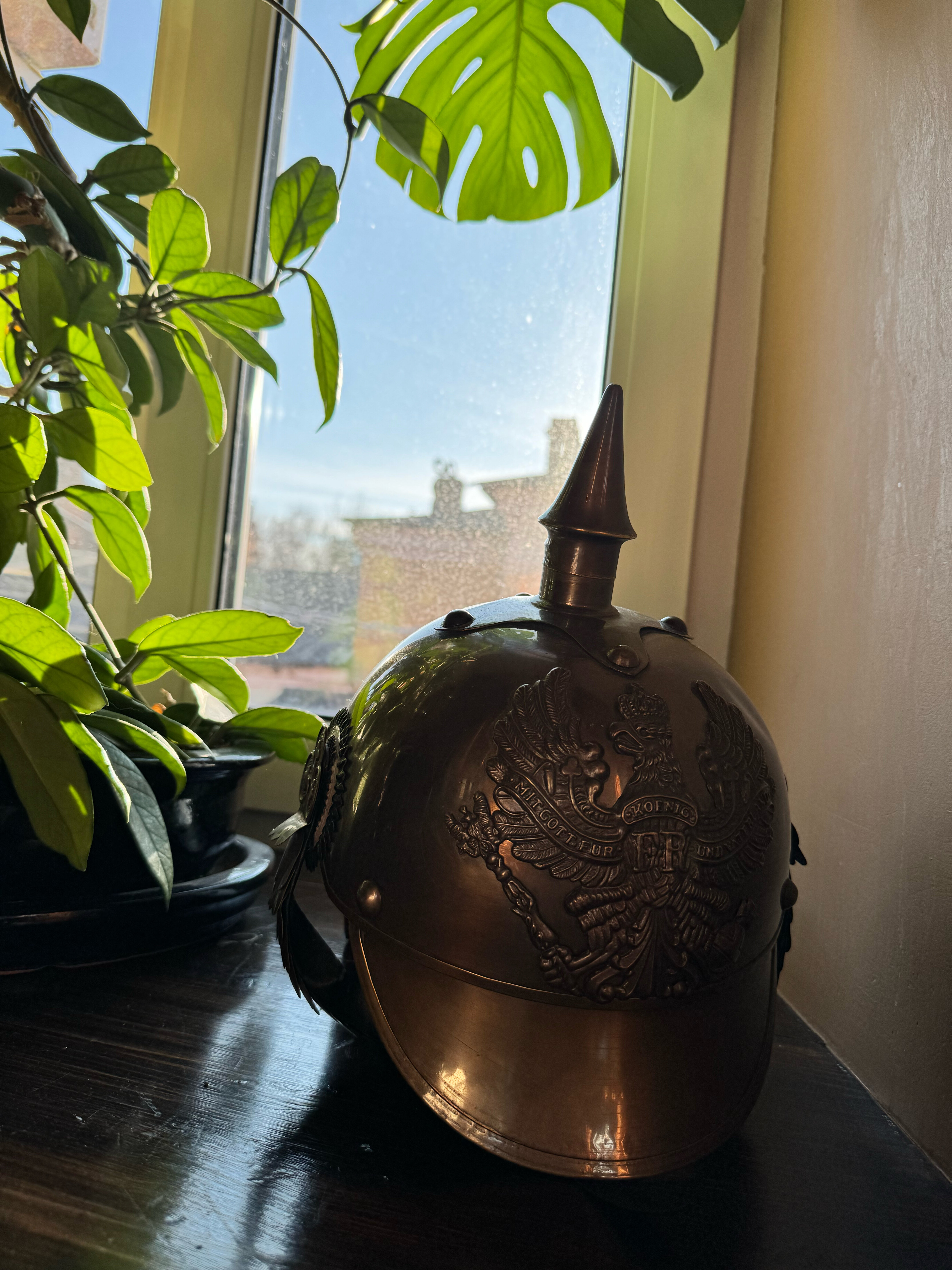 Фото Моцарт