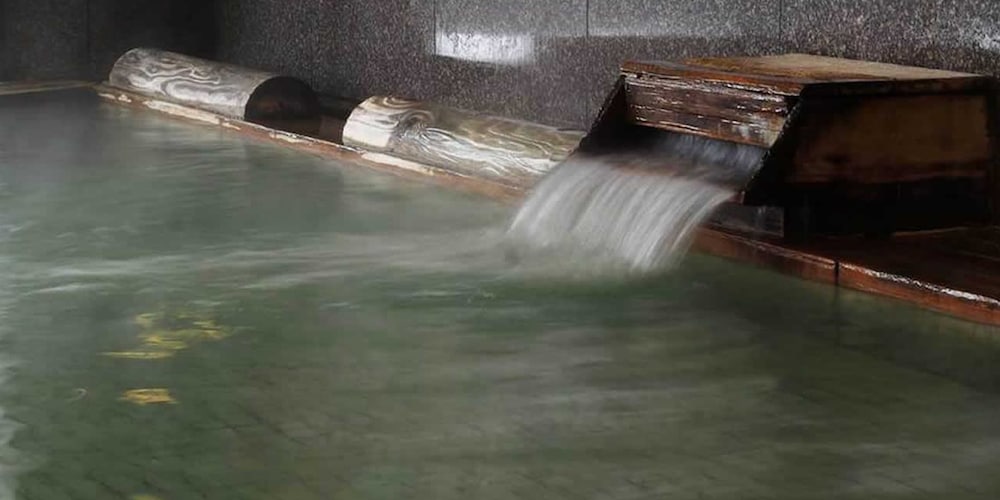 Фото Akita Tsurugaikesou