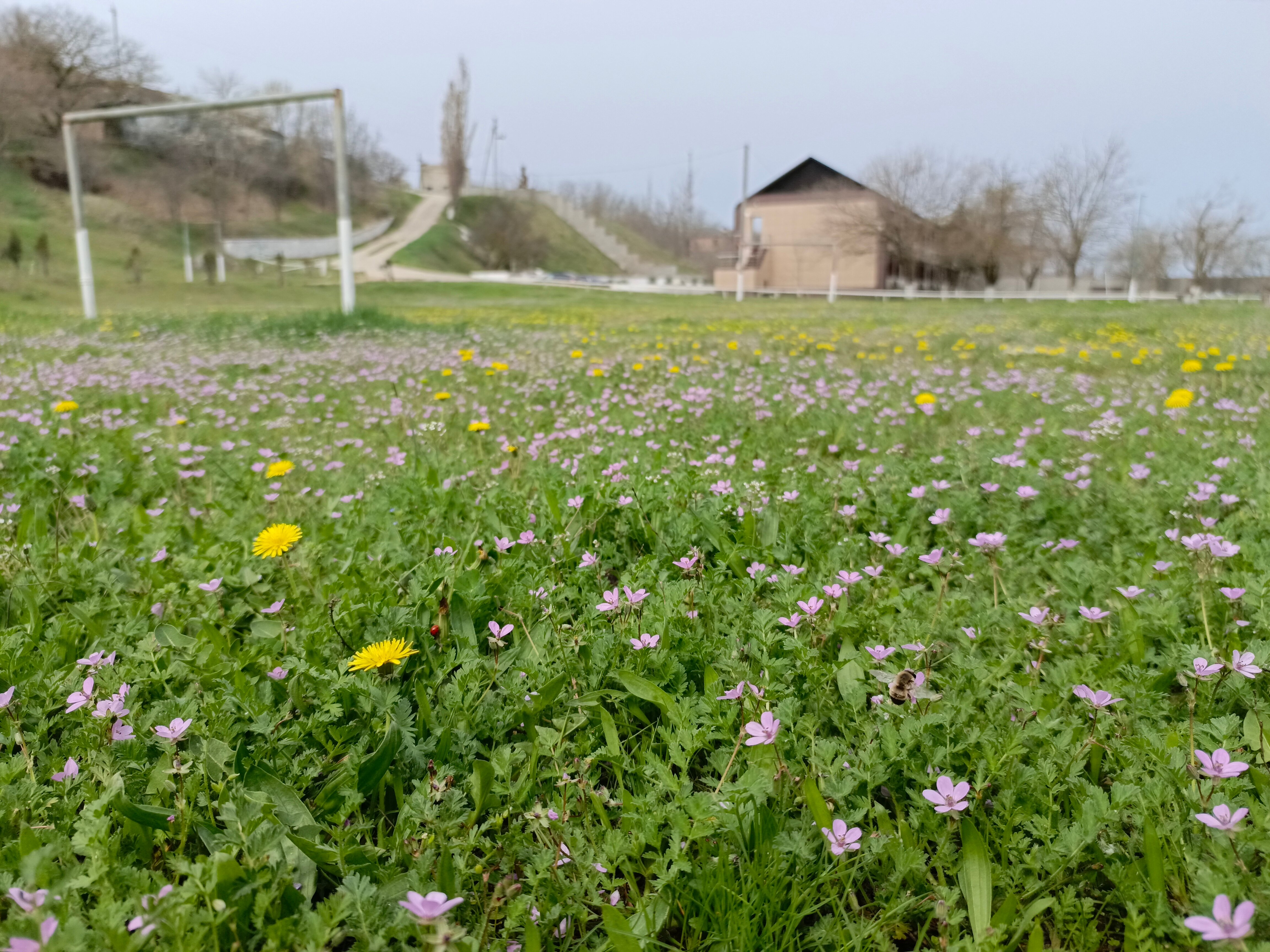 Фото Виктория