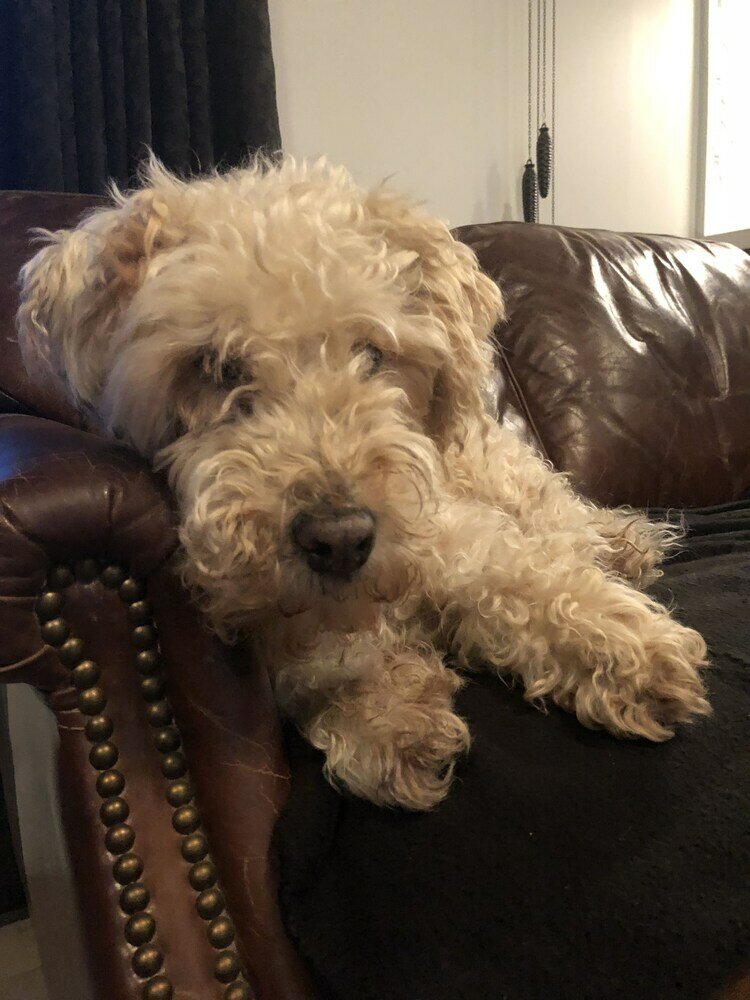 Фото Leddicott Cottage