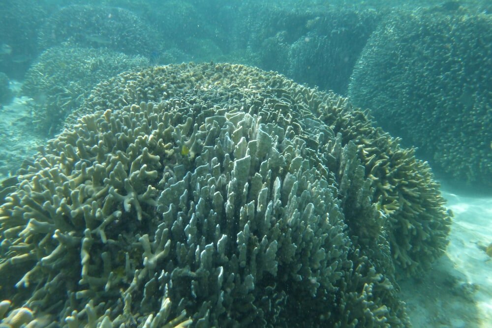 Фото Minsyuku funatsukiba