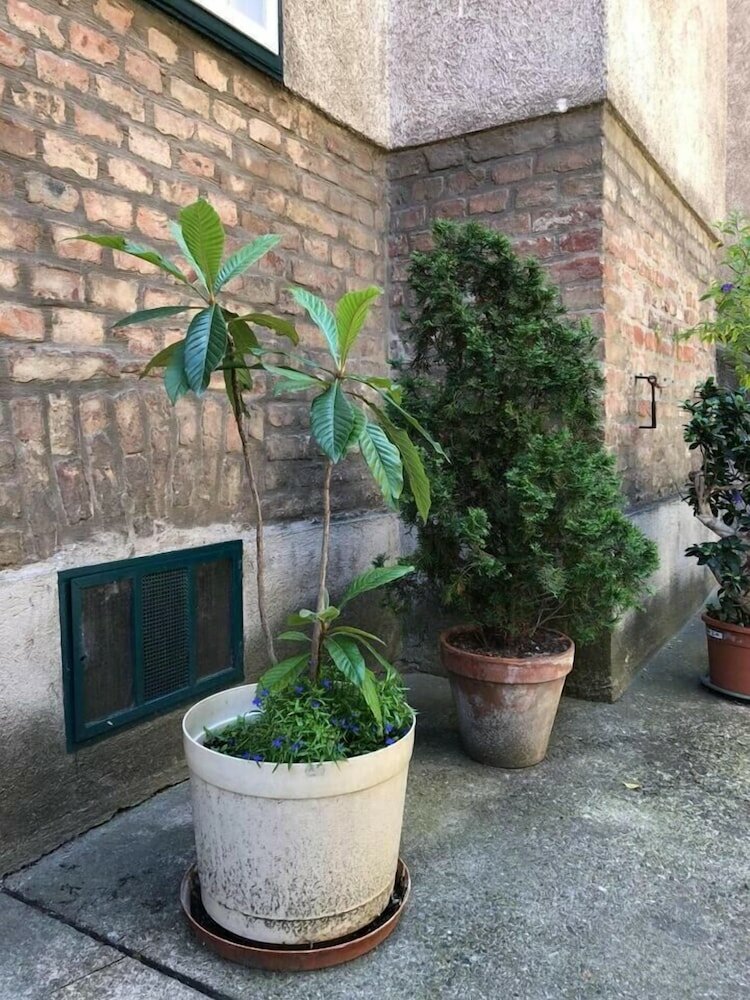 Фото Blueberry Living City Apartment