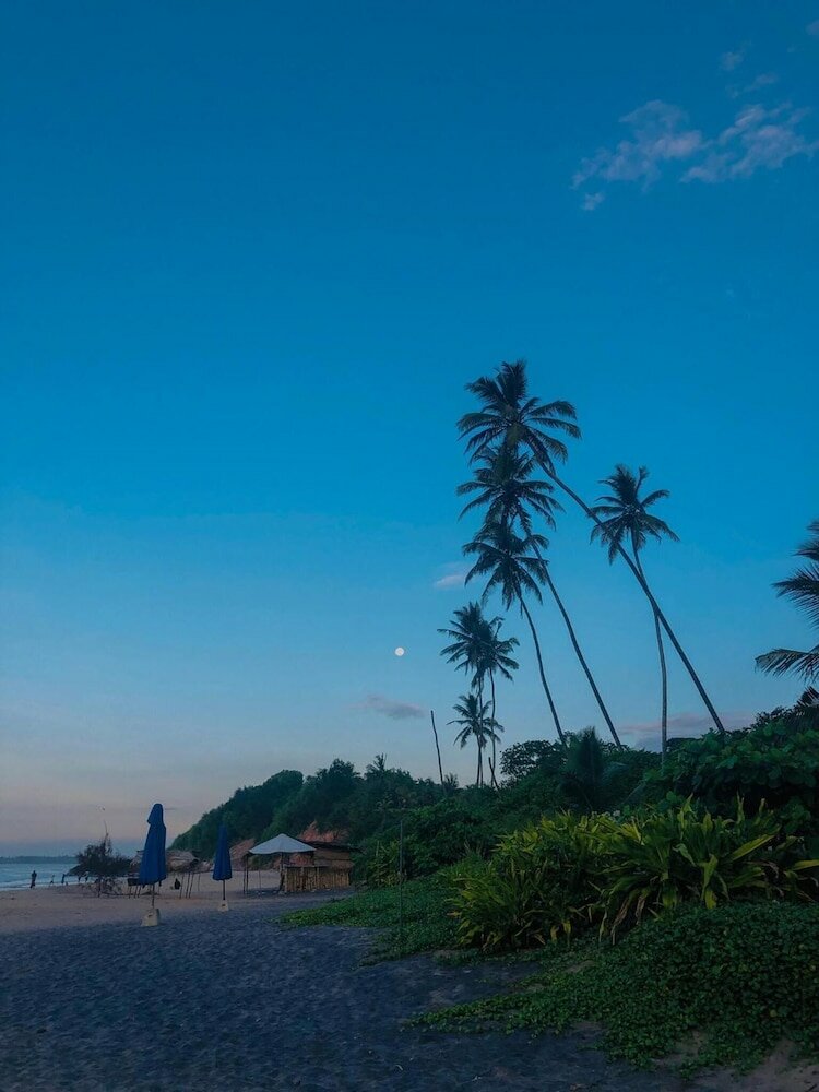 Фото Ocean Breeze Villa