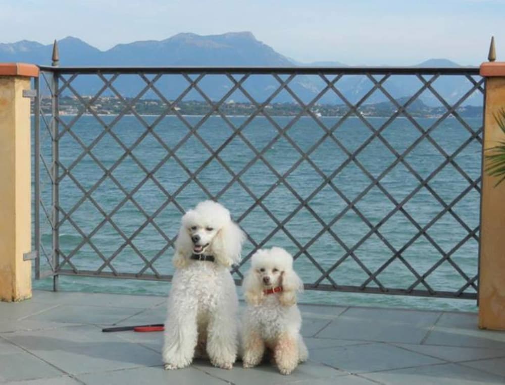 Фото Desenzano Boutique Resort