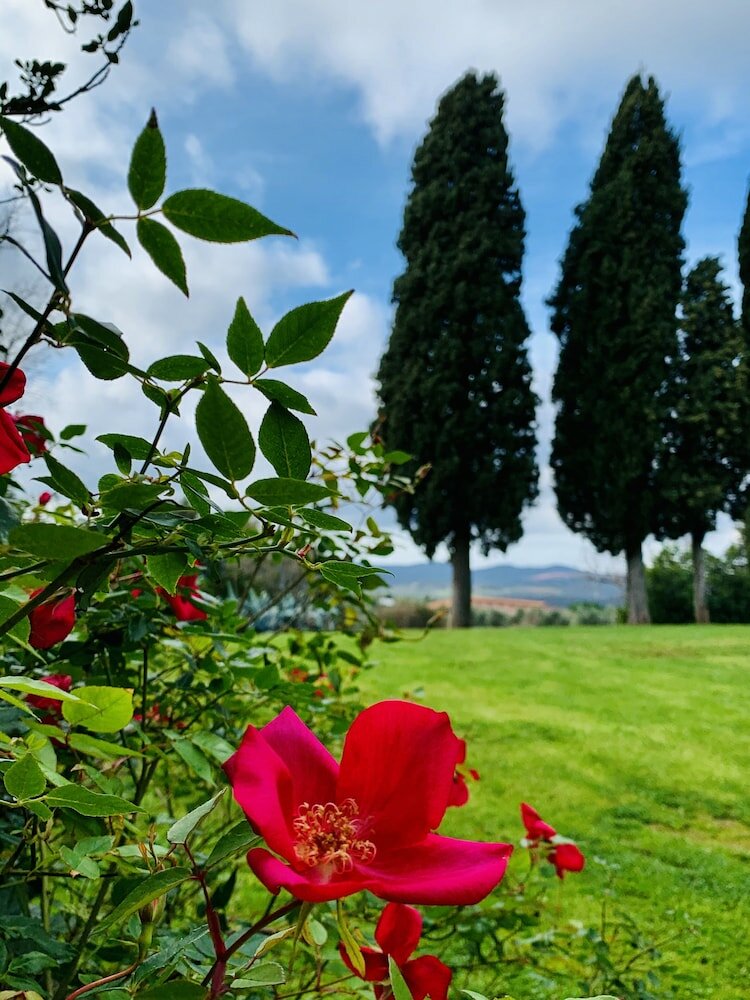 Фото Tenuta Agricola Fraschiera
