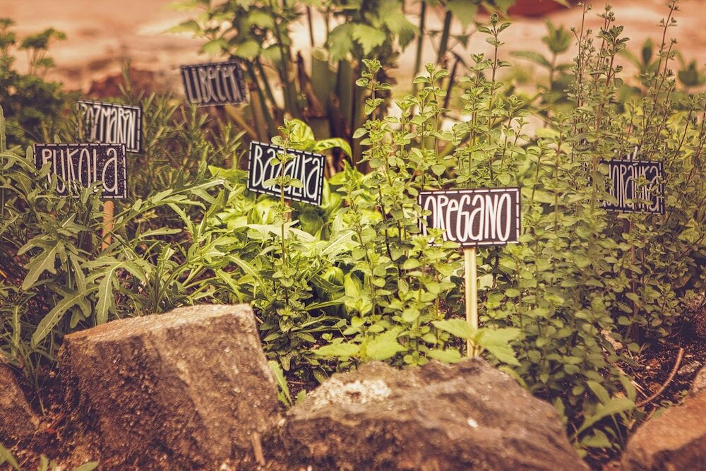 Фото U Svatého Petra