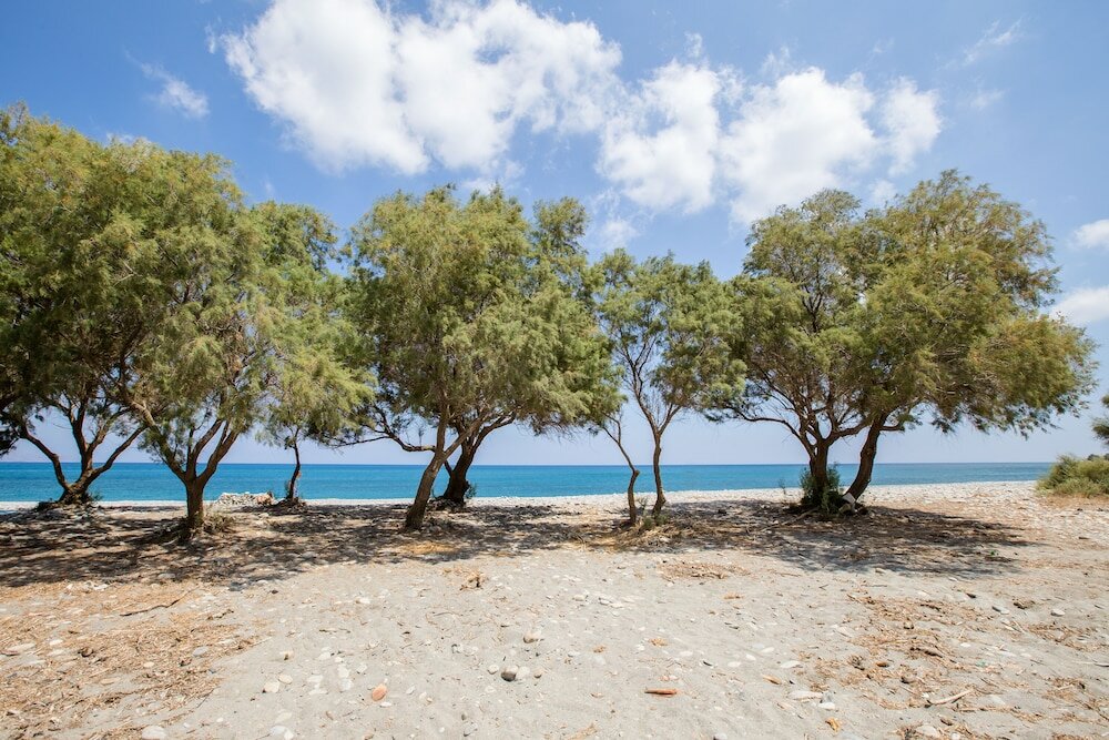 Фото Aadonis Villa