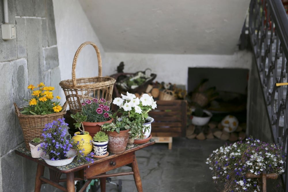 Фото B&b La Gerbolina