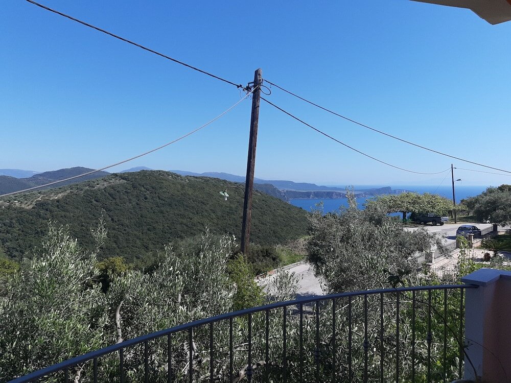 Фото Olive Tree Apartment