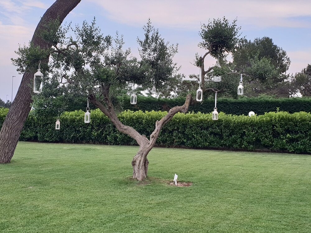 Фото Villa Natia