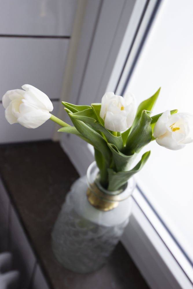 Фото Hotell Hjalmar