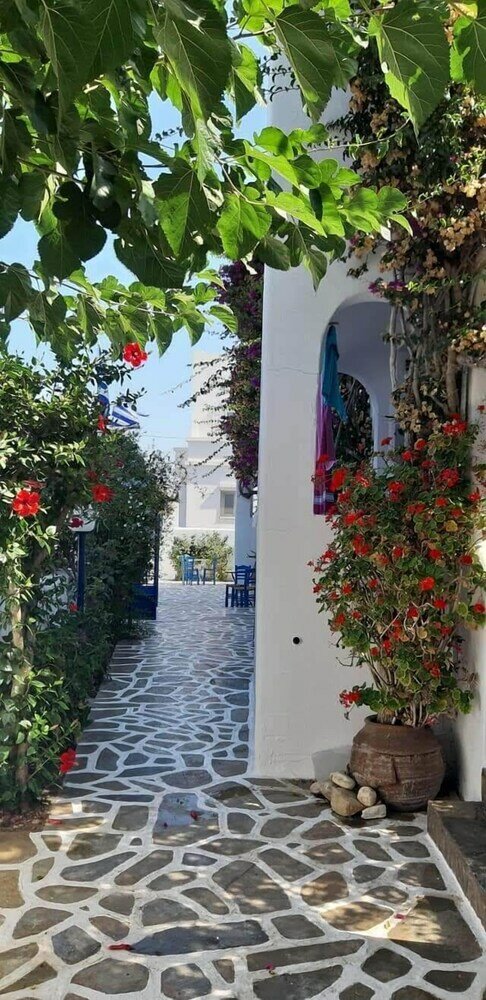 Фото Pelagos Studios