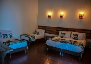 Hotel Momotus Cocora (Atlantico, Municipio de Barranquilla, Via 40), hotel