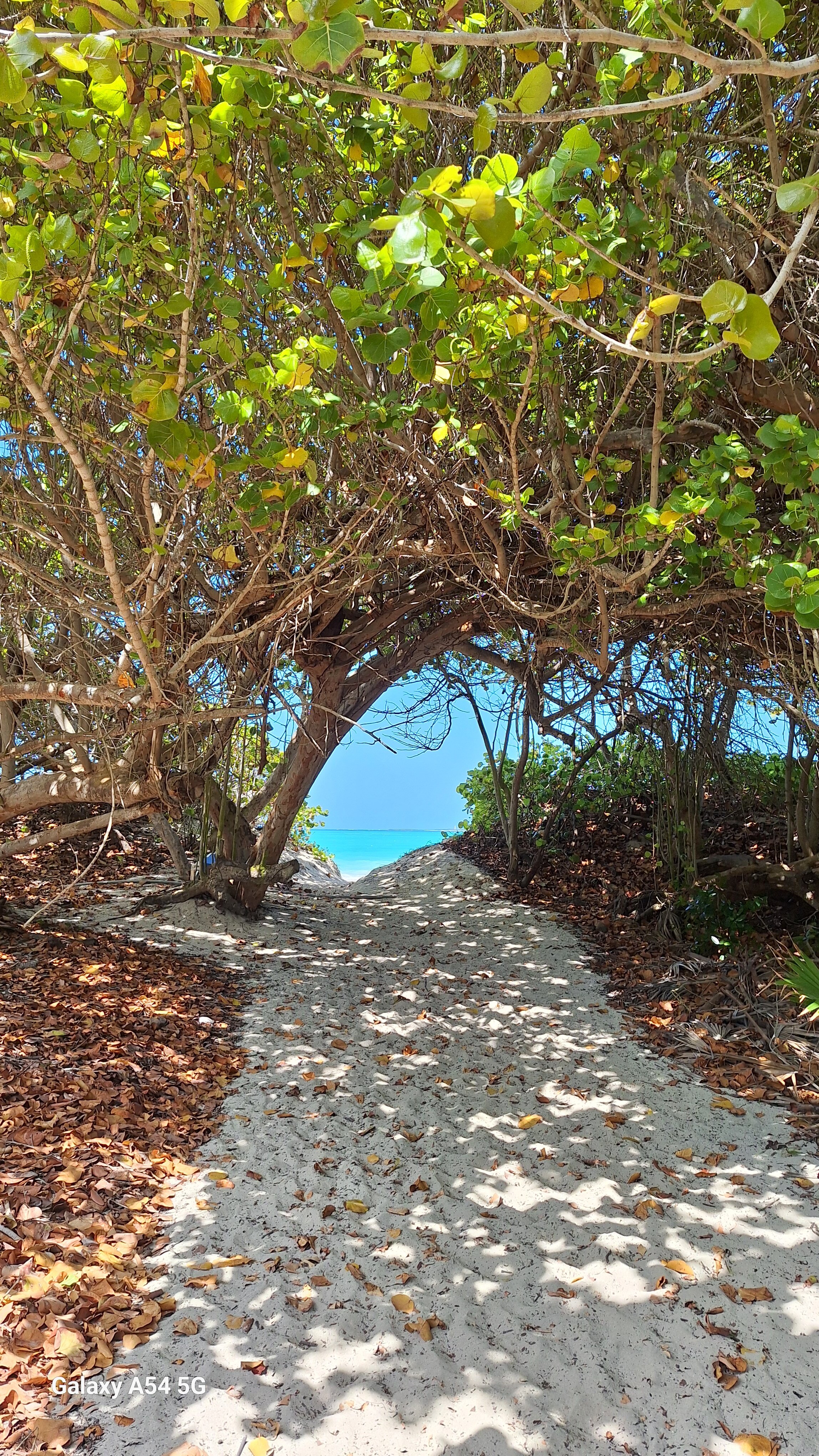 Фото Melia Peninsula Varadero