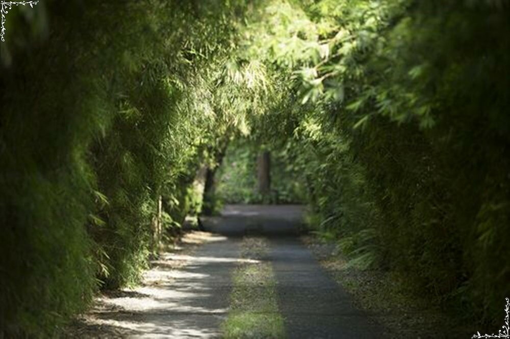 Фото The Pavilions Bali