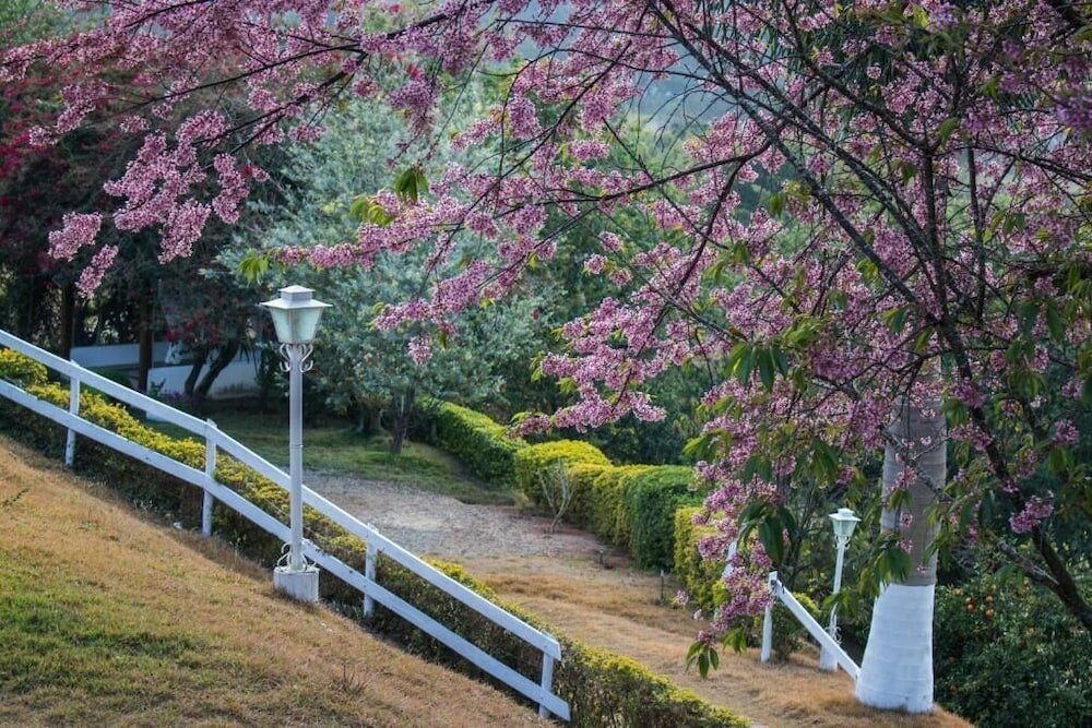 Фото Pousada Sonho Meu