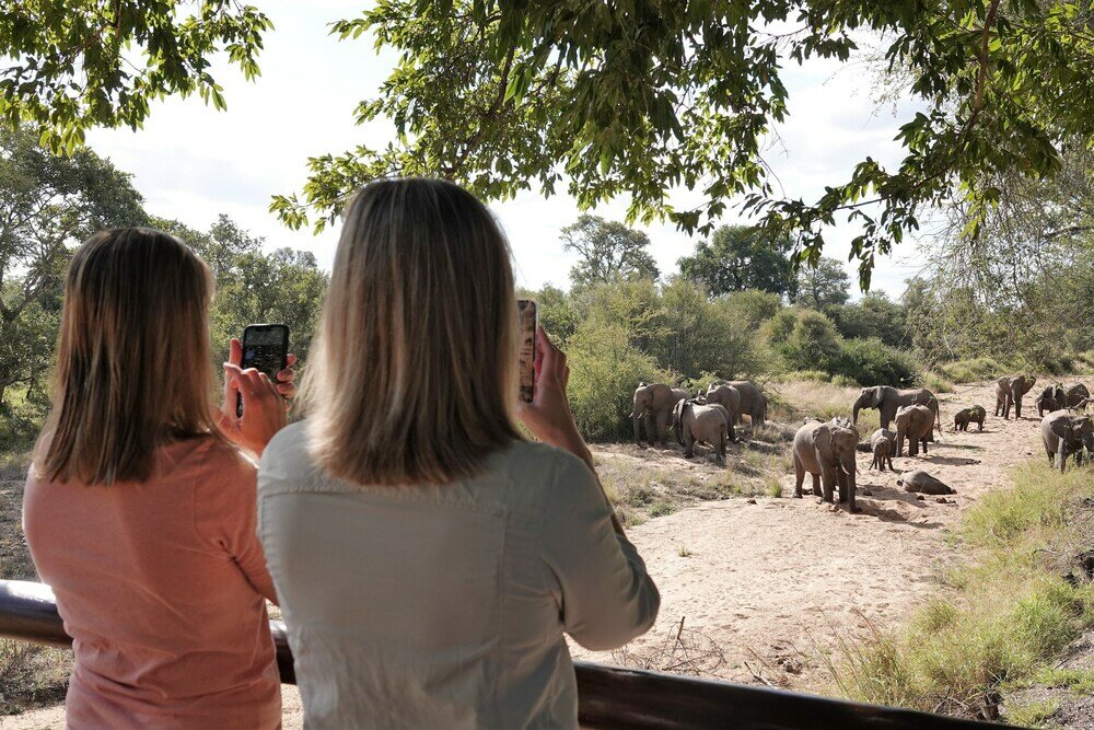 Фото Senalala Safari Lodge