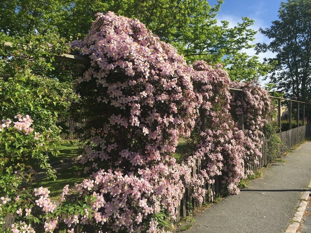 Фото Aurora Bed & Breakfast