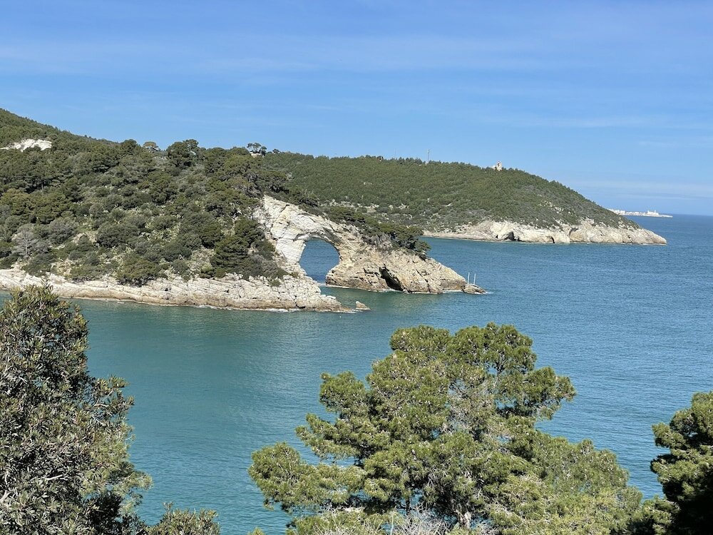 Фото Hotel San Pio