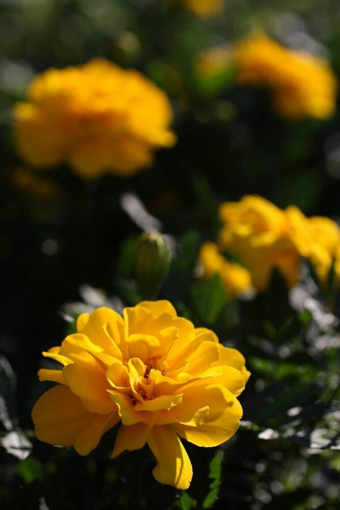 Фото Onsen Pension Hanasakiyama