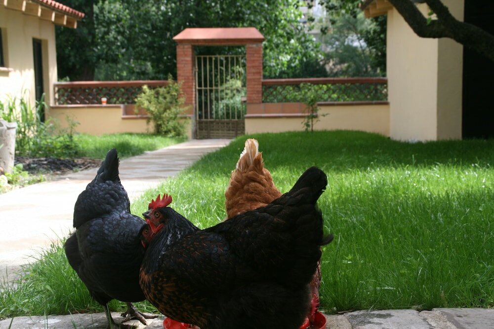 Фото B&b Sallent