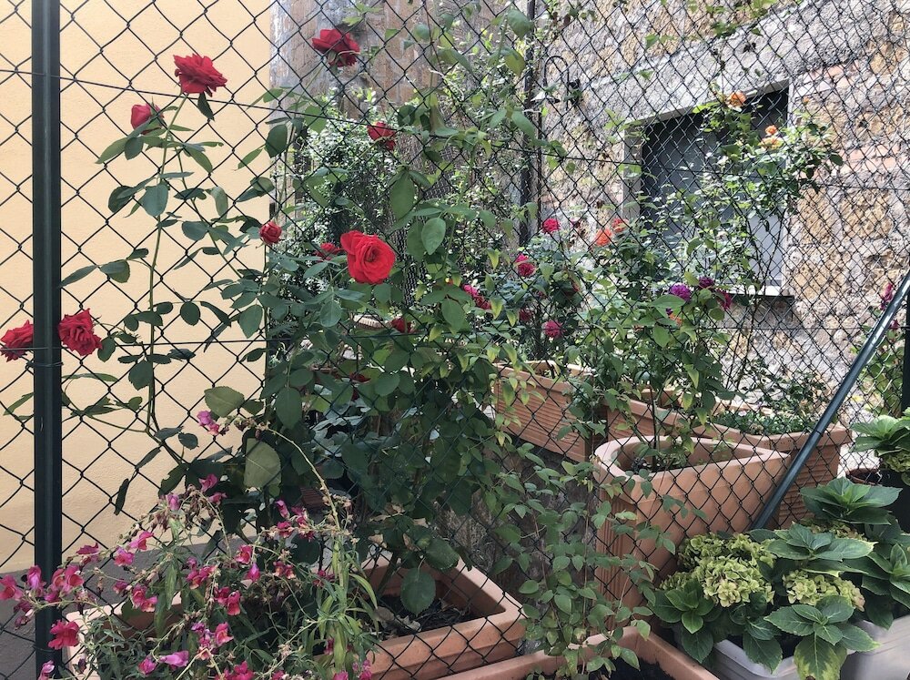 Фото Industrial Chic House