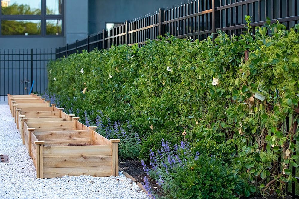 Фото Luxury Furnished Apartments by Hyatus at Amistad Park