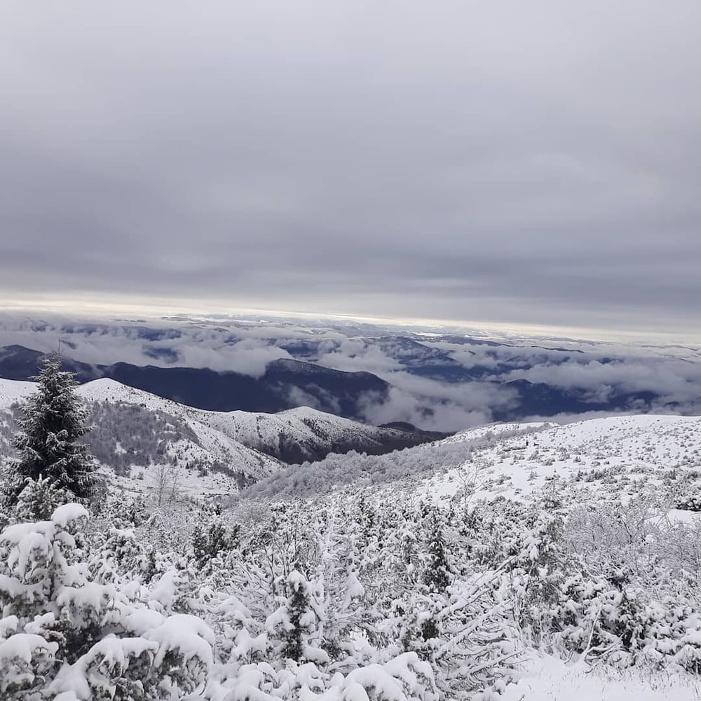 Фото Nicole Kopaonik
