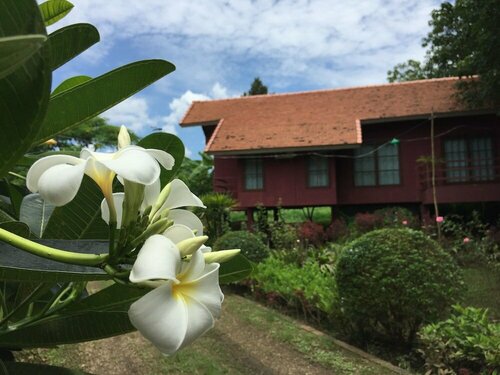 Гостиница Chiangmai Royal Creek