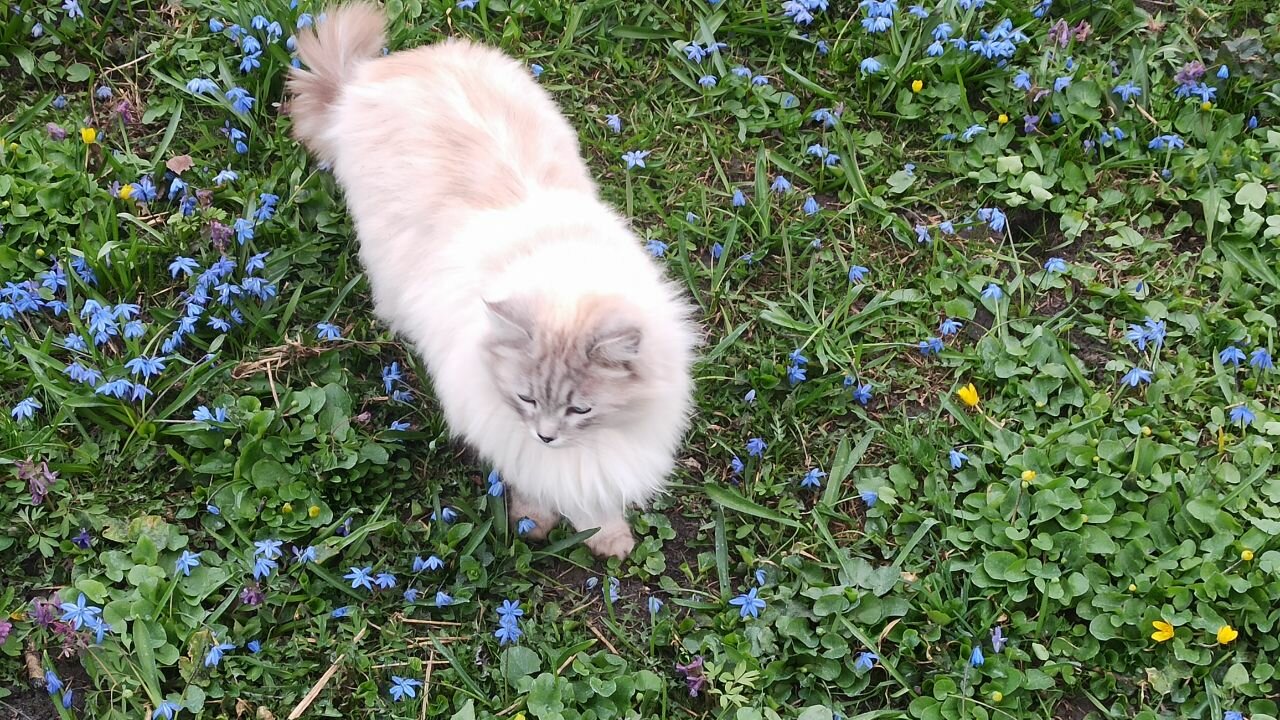 Фото Дом Хвостова