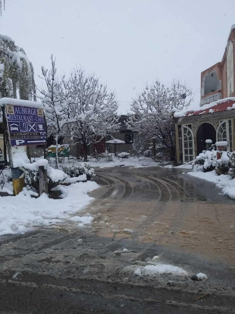 Фото Complexe Collier D'Ambre