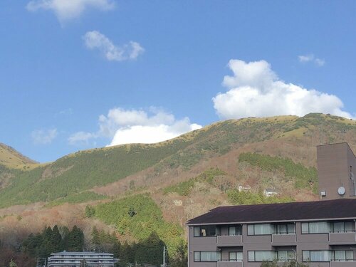 Гостиница Mount View Hakone