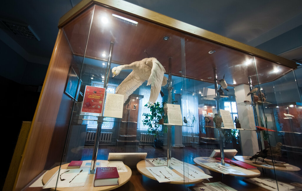 Museum Krasnokholmsky Museum of Local Lore, Krasniy Holm, photo