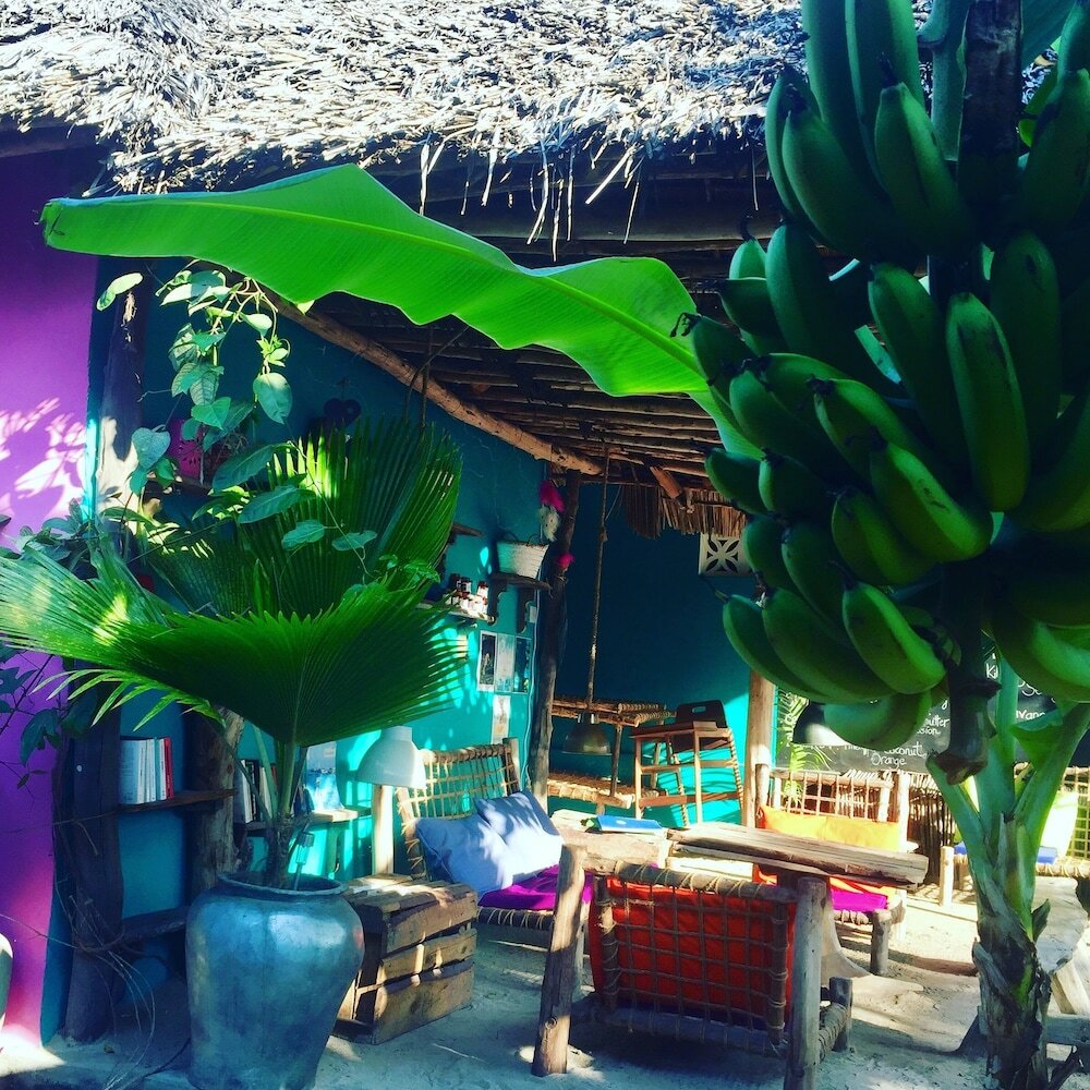 Фото Zanzistar Lodge