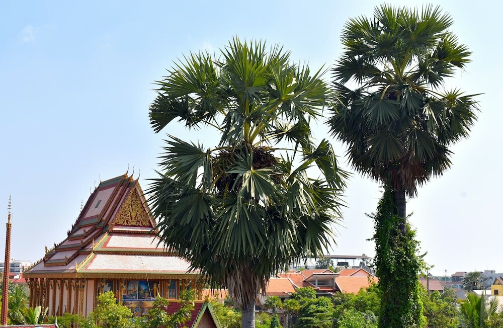 Фото Three Little Birds