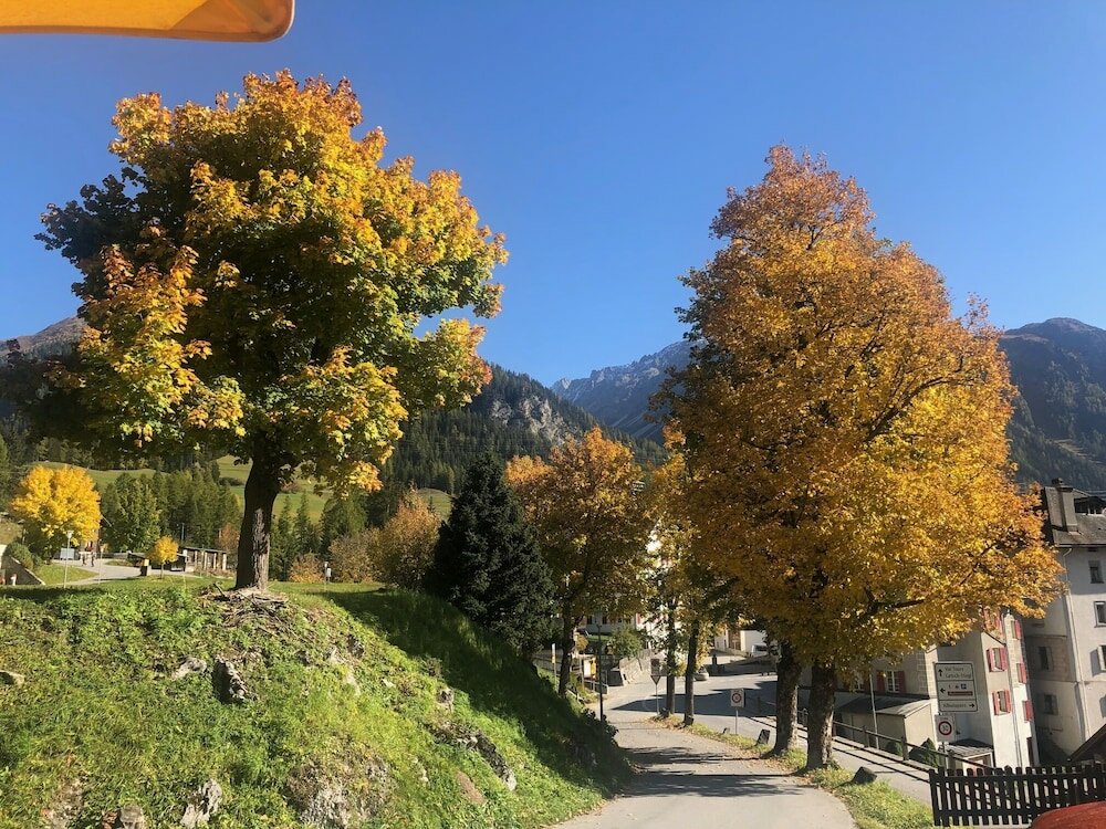 Фото Hotel Ladina