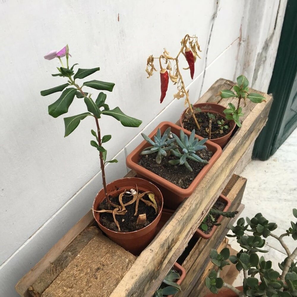 Фото FraLePorte B&b