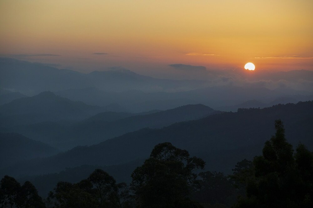 Фото 95847761184