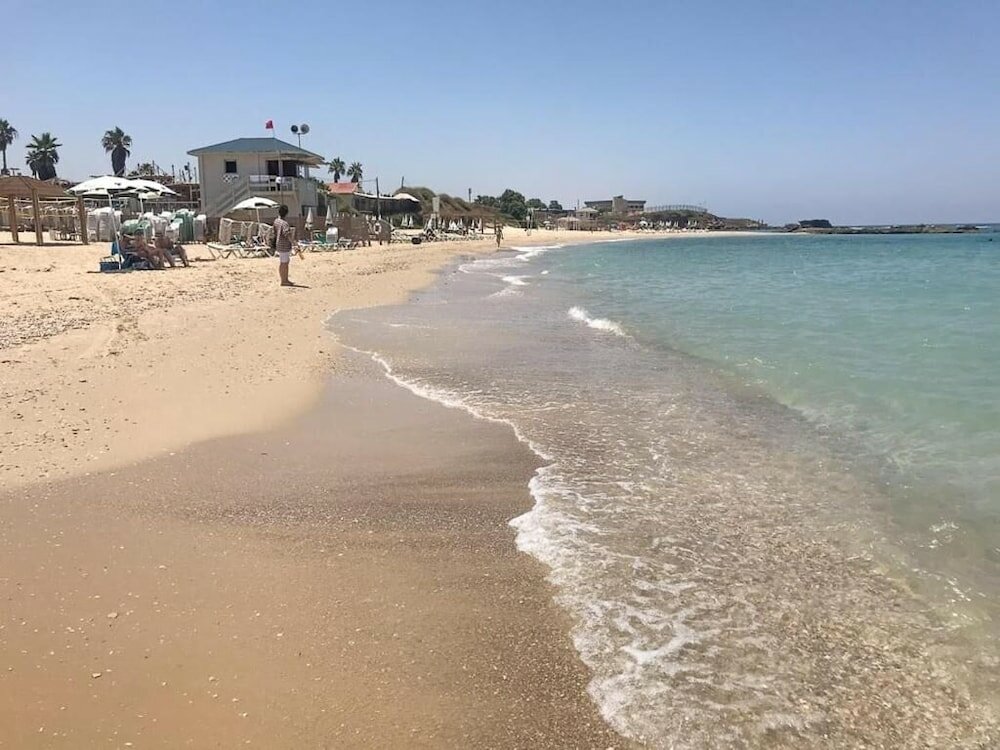 Фото King Koresh Hotel