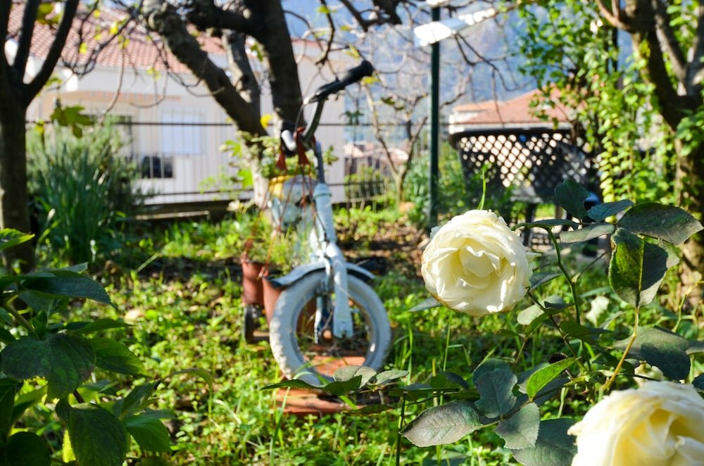 Фото Apartments Tea Kotor